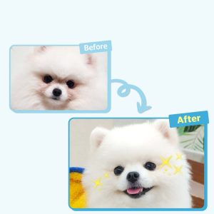 Dear Labs For My Baby Care – Viên Nhai 5in1 Cho Chó Khỏe Toàn Diện