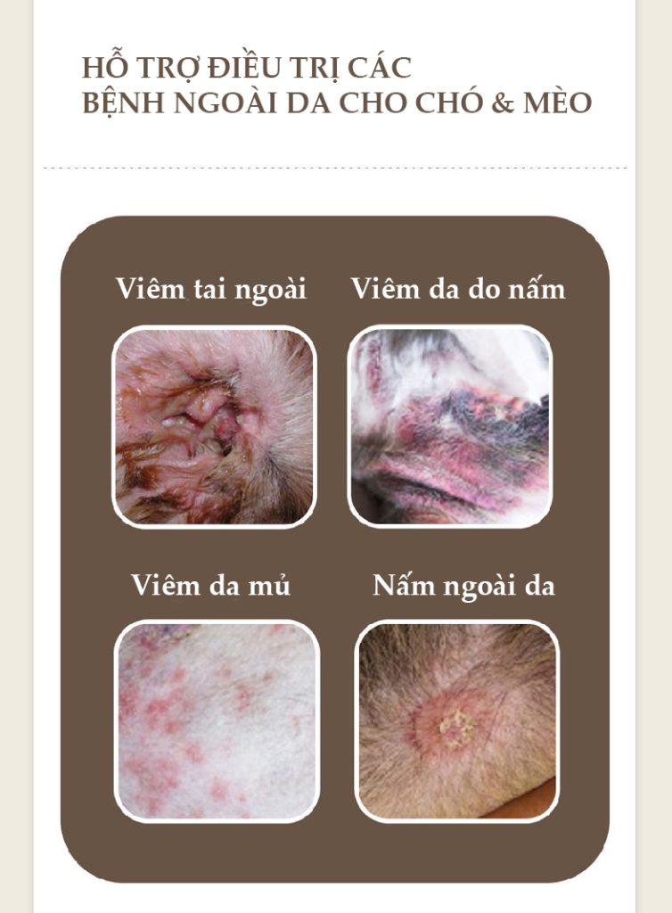 Dứt Điểm Biếng Ăn, Nấm Ngứa & Chảy Nước Mắt Ố Vàng Chỉ Với 1 Viên Nhai Mỗi Ngày!