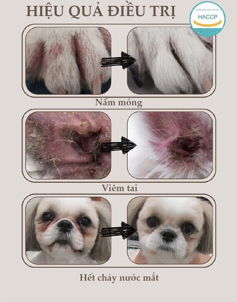 Dứt Điểm Biếng Ăn, Nấm Ngứa & Chảy Nước Mắt Ố Vàng Chỉ Với 1 Viên Nhai Mỗi Ngày!