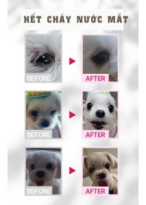 Dear Labs For My Baby Care – Viên Nhai 5in1 Cho Chó Khỏe Toàn Diện