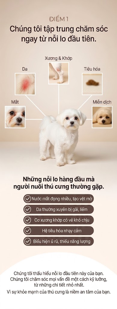 Combo Dear Labs For My Baby và Inner Plus chăm sóc sức khỏe cho mèo toàn diện