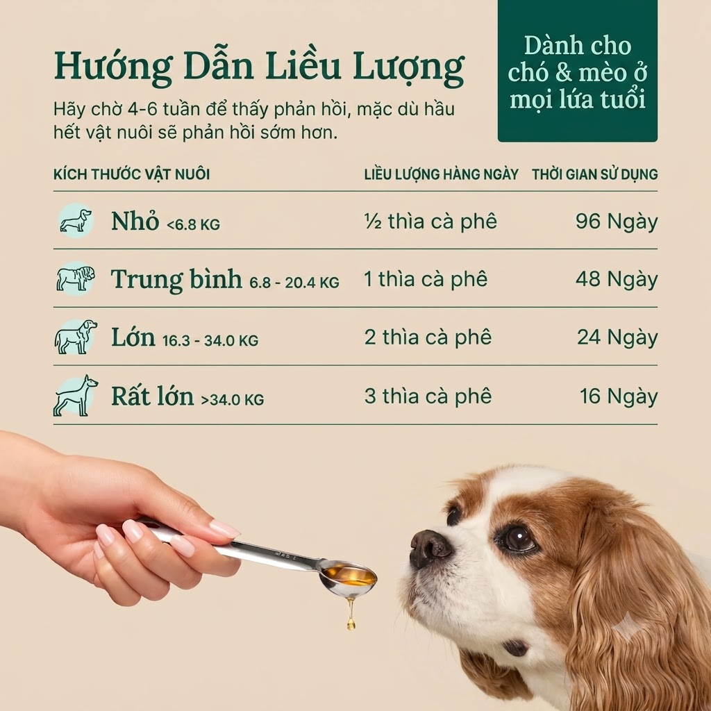 Dầu Tảo Omega 3s Fera Pets – Giải Pháp Hoàn Hảo Cho Da, Lông & Khớp Thú Cưng
