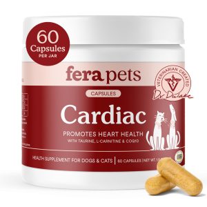 fera-cardiac-support