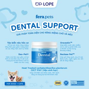 Fera Pets Dental Support: Giải Pháp Toàn Diện Cho Răng Miệng Mèo