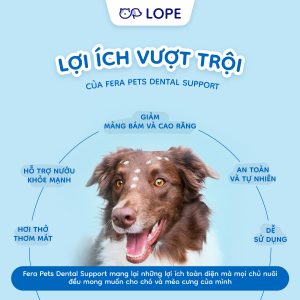 Fera Pets Dental Support: Giải Pháp Toàn Diện Cho Răng Miệng Mèo