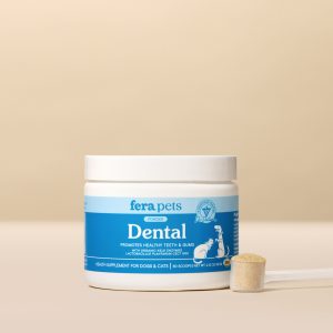 Fera Pets Dental Support: Giải Pháp Toàn Diện Cho Răng Miệng Mèo