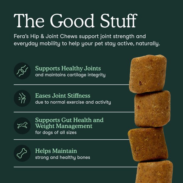 Viên nhai mềm Fera Pets Hip + Joint Glucosamine Supplement for Dogs - Công thức mới