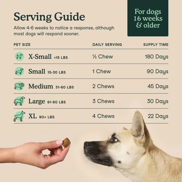 Viên nhai mềm Fera Pets Hip + Joint Glucosamine Supplement for Dogs - Công thức mới