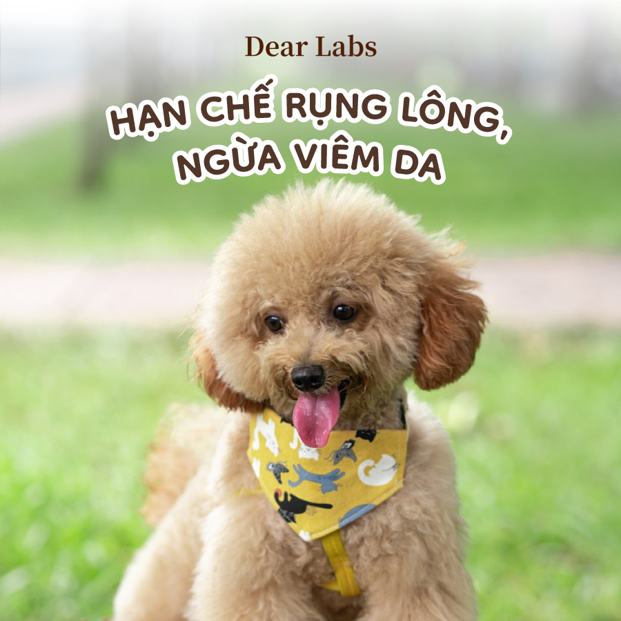 Dứt Điểm Biếng Ăn, Nấm Ngứa & Chảy Nước Mắt Ố Vàng Chỉ Với 1 Viên Nhai Mỗi Ngày!