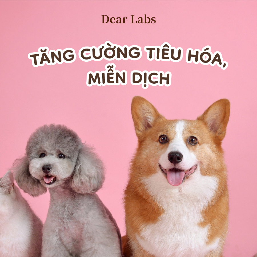 Dứt Điểm Biếng Ăn, Nấm Ngứa & Chảy Nước Mắt Ố Vàng Chỉ Với 1 Viên Nhai Mỗi Ngày!