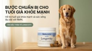 FAQ: Thắc mắc thường gặp về Longevity viên nhai mềm chống lão hóa cho chó