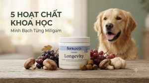Longevity viên nhai mềm for Dogs: Bổ sung chống lão hóa cấp độ tế bào