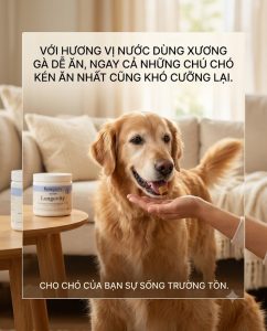 Longevity viên nhai mềm for Dogs: Sản phẩm chống lão hóa cấp độ tế bào
