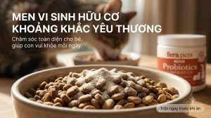 Cách Trộn Probiotic Vào Thức Ăn Cho Mèo Giữ Nguyên Tác Dụng