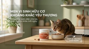 Probiotic cho mèo: Lợi ích, cơ chế và cách chọn chủng chuẩn
