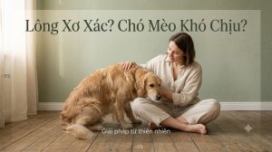 Dầu cá cho chó mèo: Toàn bộ lợi ích, liều dùng & cách chọn loại tốt nhất